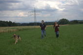 Baumstammwerfen